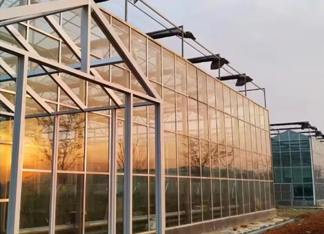 Интеллектуальная теплица с непрерывной конструкцией Венло