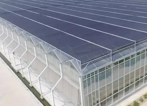 Теплица из поликарбоната с многосекционной цельной конструкцией Венло